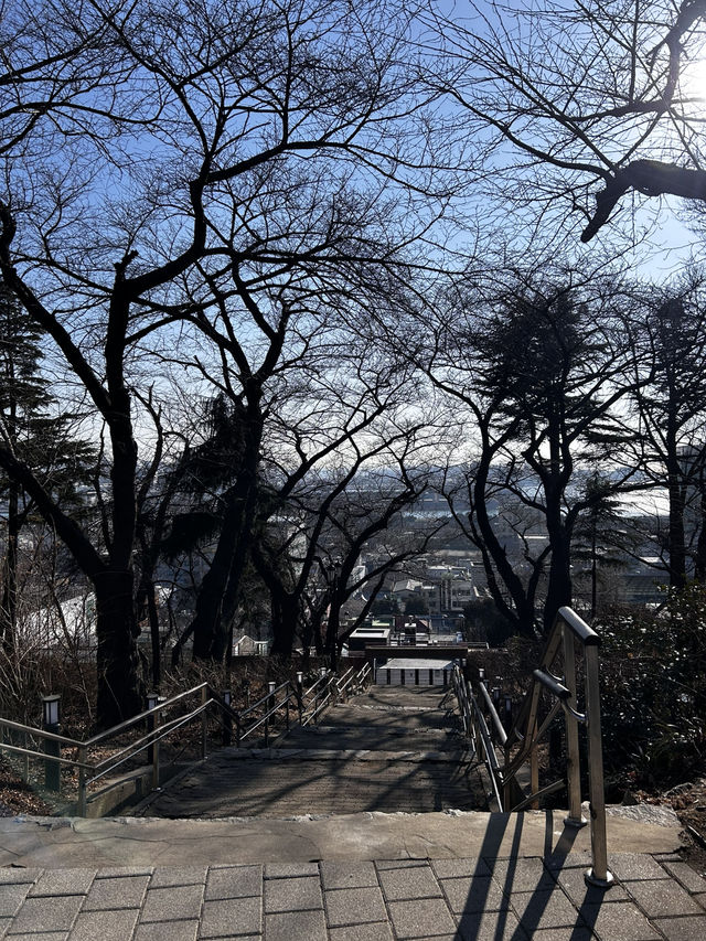 한국 최초의 서구식 공원 이리는 역사적 의미를 가진 인천 자유공원🇰🇷