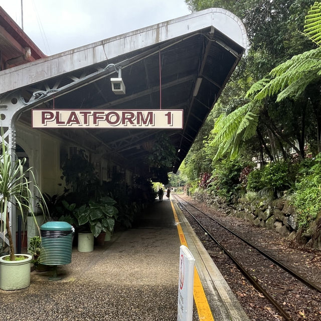 自然がいっぱいキュランダ　🇦🇺