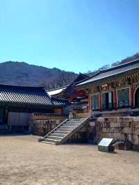 산에서 내려다보는 풍경이 예술