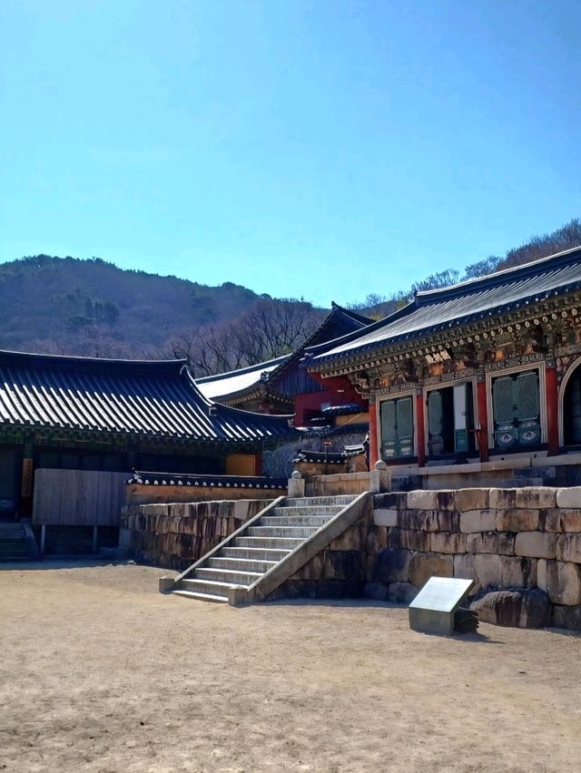 산에서 내려다보는 풍경이 예술