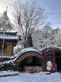 겨울에 가족여행가기 좋은 남이섬☃️