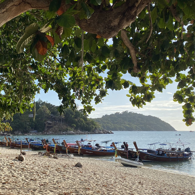 🇹🇭泰國麗貝島旅遊