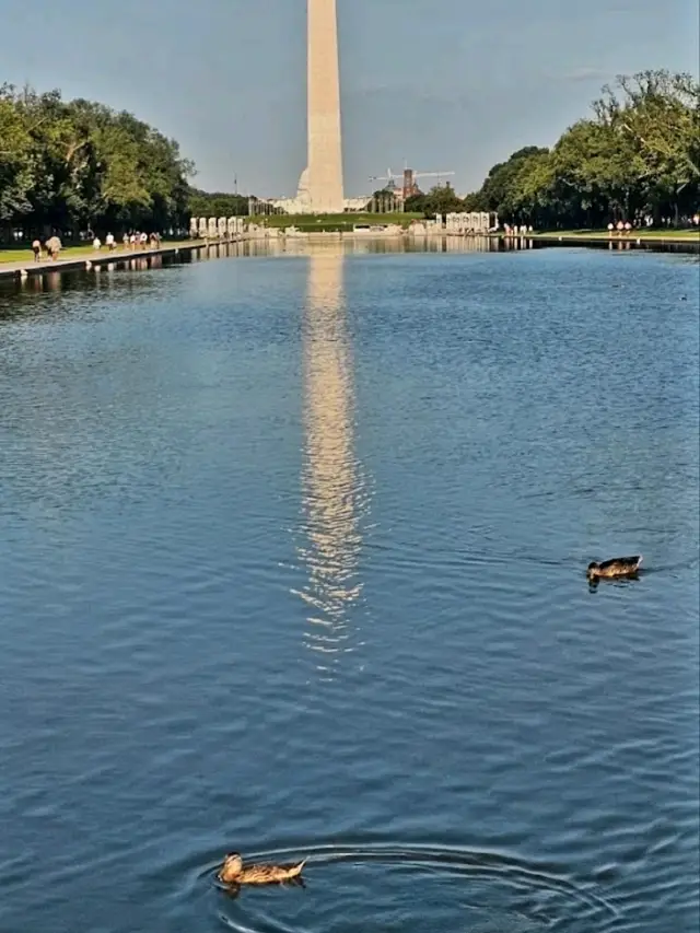 TBE NATIONAL MALL.
