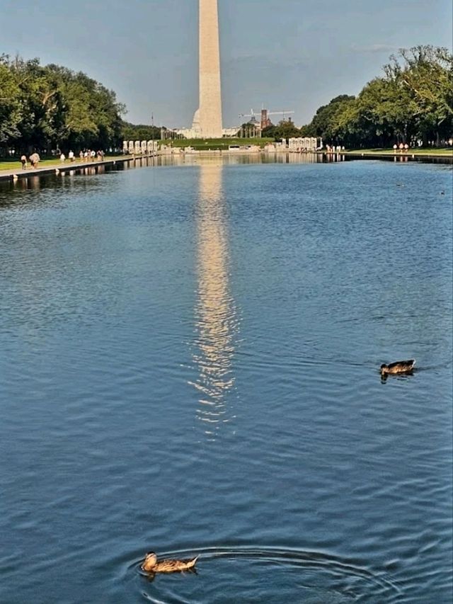 TBE NATIONAL MALL.