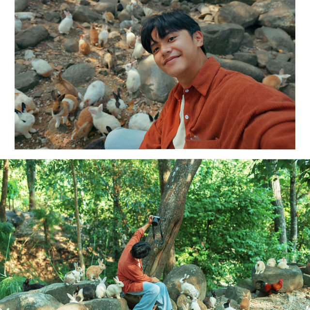 ไปทำบุญที่วัด แล้วให้อาหารน้องกระต่ายกัน 🐰🙏🏻
