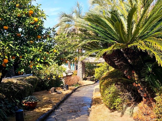 Relaxing around the SEAES Hotel and Resort in the day time