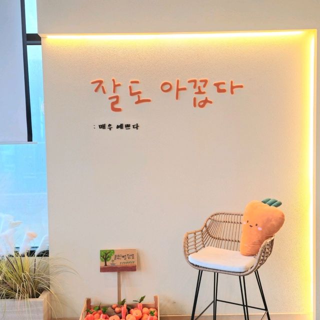 제주 귤밭 테마카페