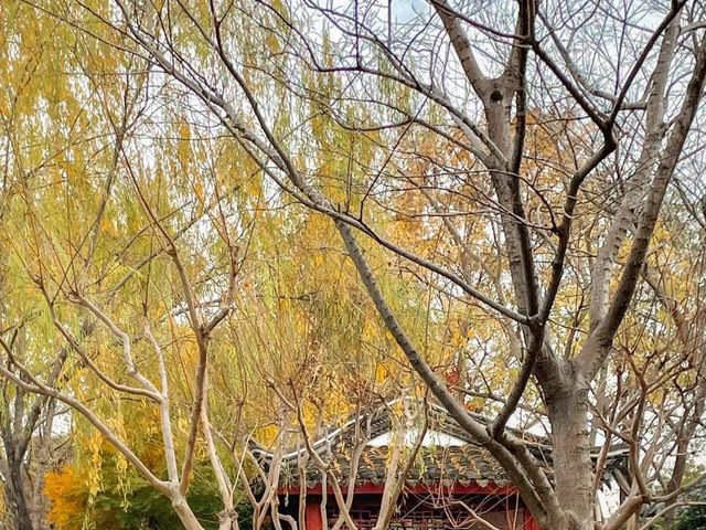Suncheon Bay Wetland Reserve