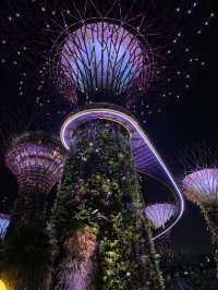 พาเที่ยว Garden by the Bay – สวนอวตารแห่งสิงคโปร์