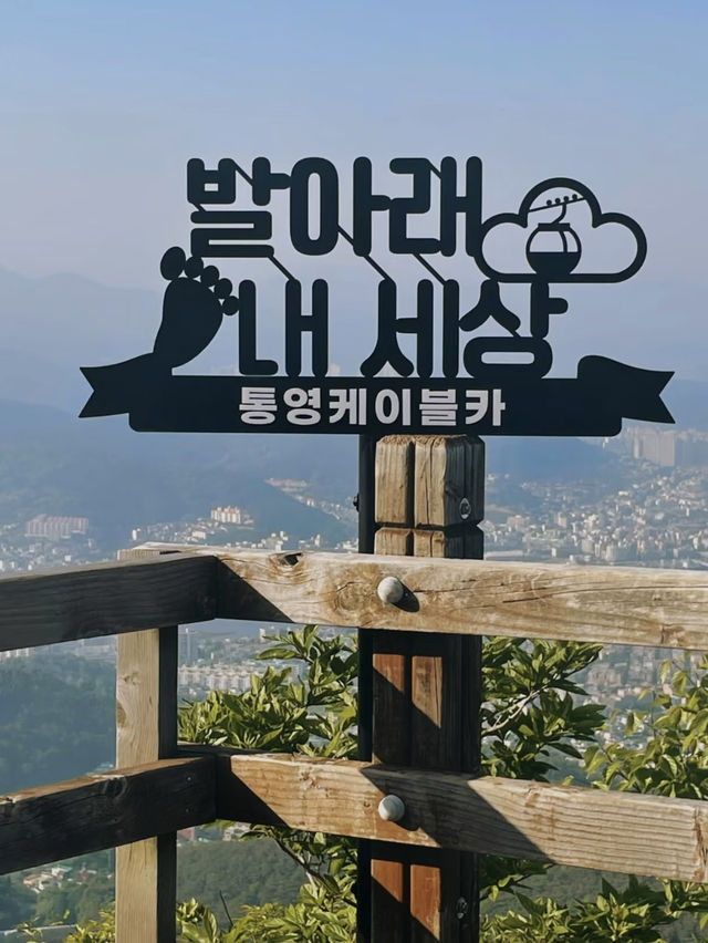 Skyline Luge Korea: Thrill and Scenic Views in One Ride