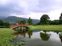 Taman Tasik Taiping: A Tranquil Escape in Malaysia’s Oldest Park