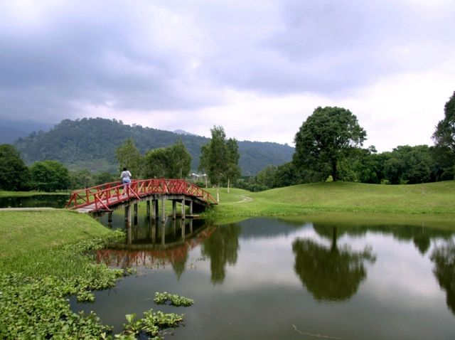 Taman Tasik Taiping: A Tranquil Escape in Malaysia’s Oldest Park