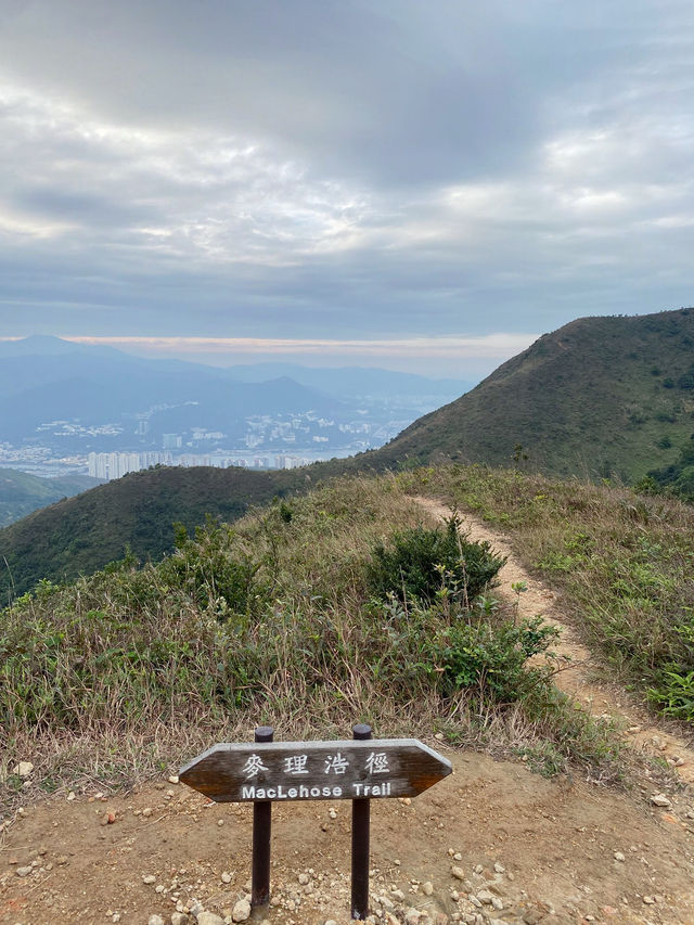 彎曲山⛰️，一覽西貢全景的麥理浩徑四段路線