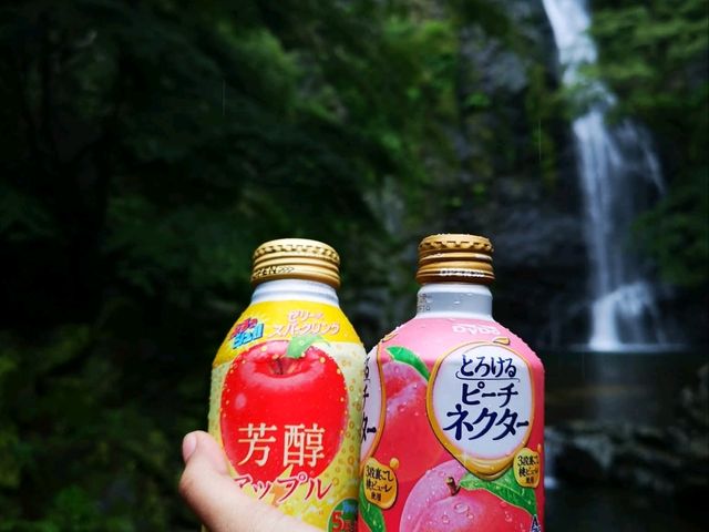 หุบเขามิโน (Minoo Park 箕面公園)