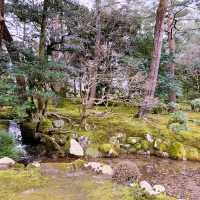 【兼六園】日本三名園のひとつ、四季折々の美しさが楽しめる