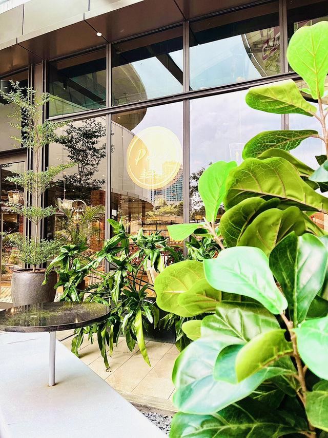 Pokok: Springtime Lush Green Cafe