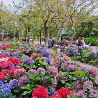 大安森林公園 (Daan Forest Park)