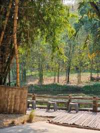 ธรรมชาติ คาเฟ่ | สวนผึ้ง ราชบุรี
