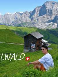 วิวจึ้งง Switzerland ช่วงหน้าซัมเมอร์เดือนกรกฏาคม 