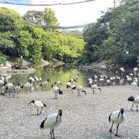 沖縄6日間のカジュアル旅 写真映えルート