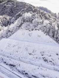 Winter Fun in Hangzhou: Your Ultimate Guide to Daming Mountain Ski Resort ⛷️❄️