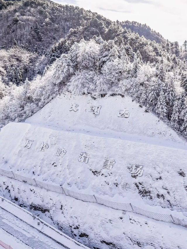 Winter Fun in Hangzhou: Your Ultimate Guide to Daming Mountain Ski Resort ⛷️❄️