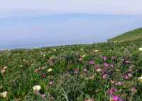 # 羅卡角（Cabo da Roca）葡萄牙幸特拉