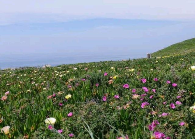# 羅卡角（Cabo da Roca）葡萄牙幸特拉