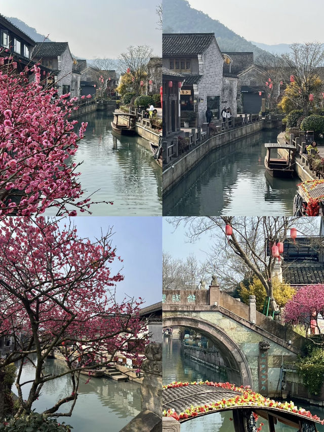 Ningbo: A Hidden Gem of Culture and Nature 🌸