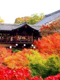 京都の紅葉名所10選 🍁✨
