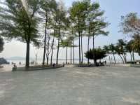 🧎沉浸在綠意與海濱風光中🌟深圳灣公園🌳