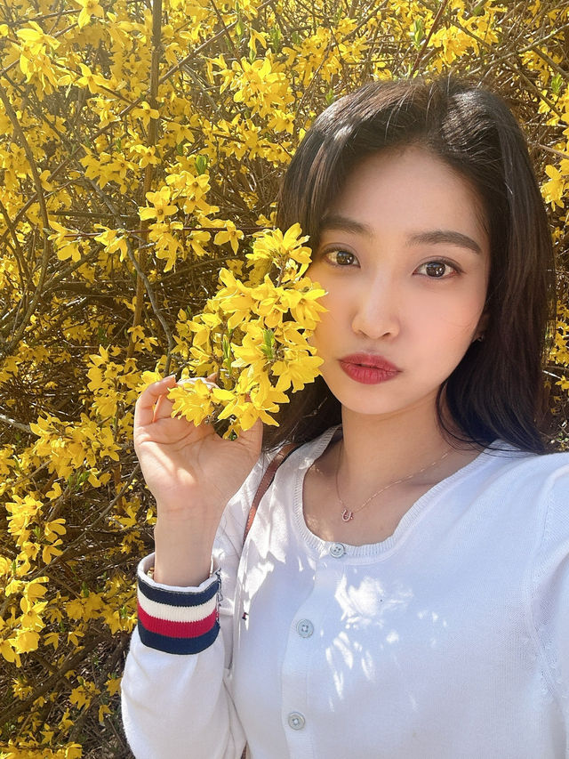 벚꽃 구경하기 좋은 곳!