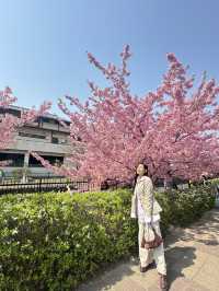 แจกแพลนเที่ยว OSAKA 8 วัน 7 คืน ไปเที่ยวกัน!!