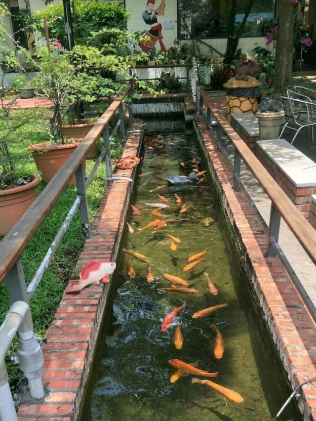 #高雄農場-高雄美濃