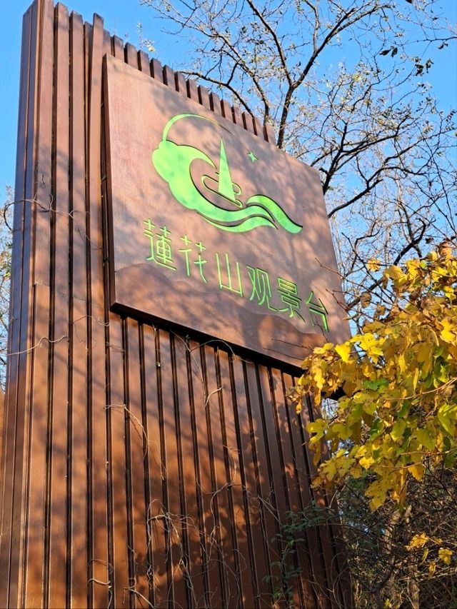 도심 속 자연과 조망을 동시에