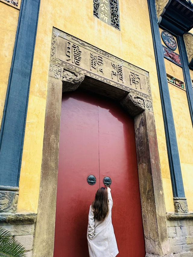 🎢 8D Magic in Chongqing – You Can Visit 800 Times and Still Want More!
