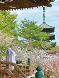 心がふわりとほどける時間。任和寺で出会うバイオリンと仏の響き