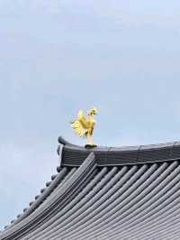 宇治一日遊