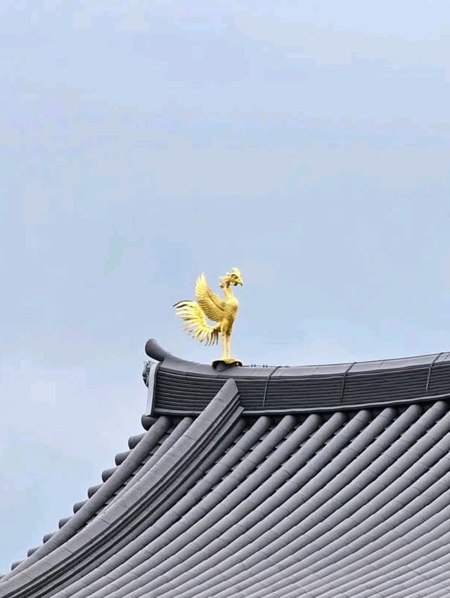 宇治一日遊