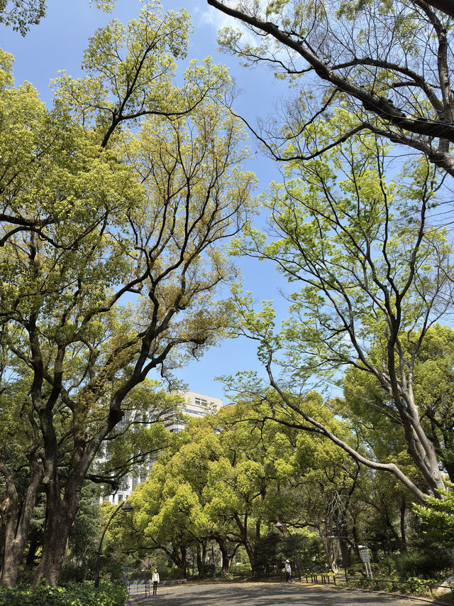 東京｜日比谷公園一日遊 🌸