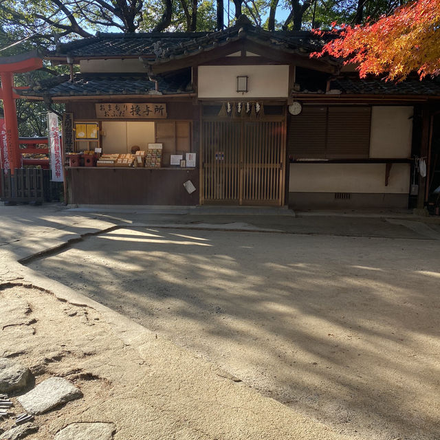 【福岡県太宰府市🇯🇵天開稲荷社】九州最古のお稲荷さんへ☺️