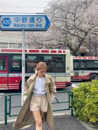 東京小眾賞櫻🌸中野