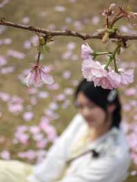 💓盈香心動樂園打卡篇