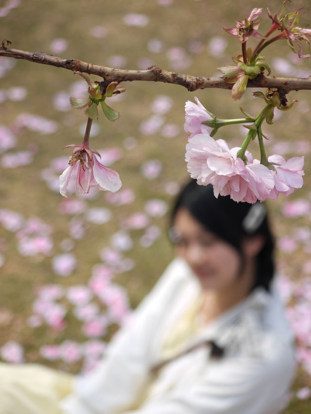 💓盈香心動樂園打卡篇