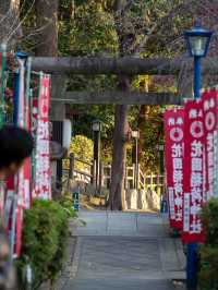 四季折々の表情が楽しめる上野公園🌸🍁