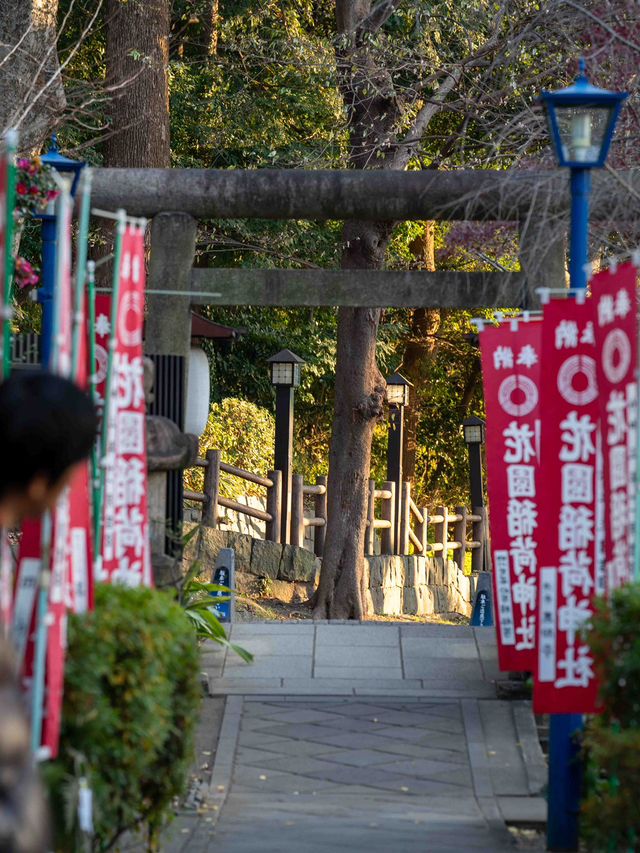 四季折々の表情が楽しめる上野公園🌸🍁