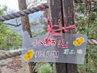 新店小獅頭山登高望遠去