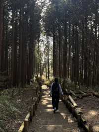 【大阪／金剛山】初心者おすすめの登山