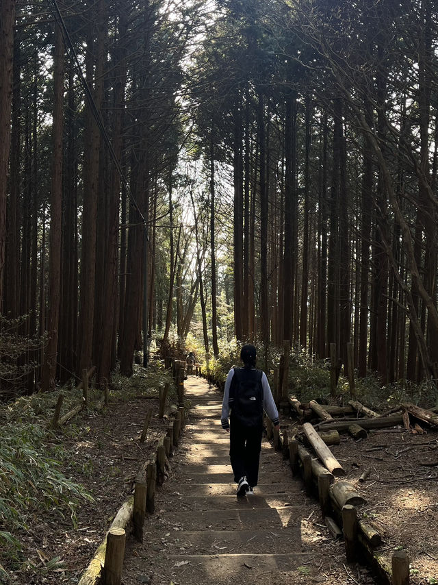 【大阪／金剛山】初心者おすすめの登山