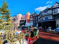 Cookie Magic in Sapporo – Shiroi Koibito Adventure